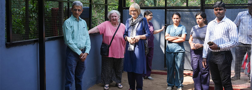 Real Estate CSR Activities - Radiance Realty